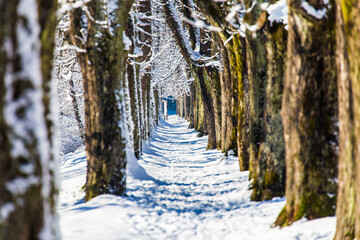 Frozen Wonderland: Scenic Winter Landscape with Snowy Mountains