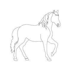 Horse in continuous line art drawing. Horse logo. Black and white vector illustration
