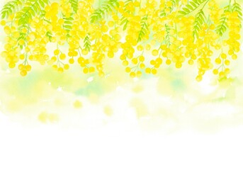 美しく咲くミモザの水彩イラスト。春らしいボタニカルフレーム。