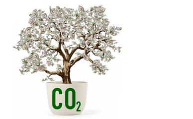 carbon credit concept