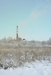 The industrial plant is located behind the swampy terrain, covered with snow. Large field of yellow...