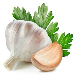 Fresh garlic with leaves isolated