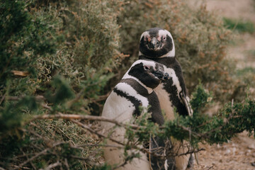 de paseo por puerto madryn