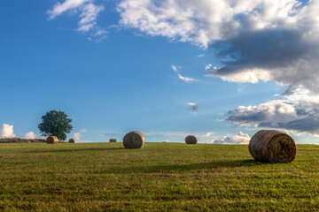 Golden sunlight illuminates haystacks.