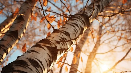 Close-up photo of autumn birch with sun rays. AI generated.