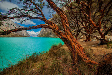 The Llanganuco Lagoon is a stunning glacial lake located in the Cordillera Blanca mountain range of...