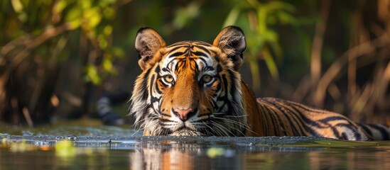 How to reach Sundarban from Kolkata: A Complete Travel Guide with Boat Safari Insights 3