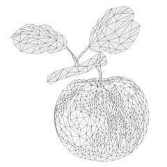 Red apple with green leaves branch outline low-polygon vector illustration editable hand draw