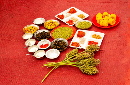 Tender Fresh jowar millets is called as HURDA or PONK party