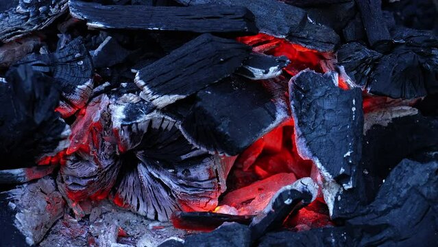 Close up of oak coal burning