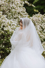 Red-haired bride in a lush dress with an open bust, posing wrapped in a veil, against the background of flowering trees. Spring wedding in nature.