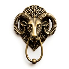 An exotic brass knocker on a door. Great for stories of architecture, vintage, antiques, classic, history and more. 