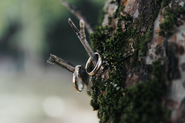 Fresh green leaves on a tree branch with selective focus and wedding rings