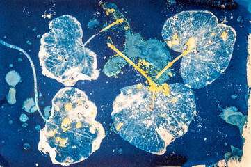 A handmade image of plant leaves using an old photographic process called a Cyanotype mixed with a Turmeric Anthotype process.