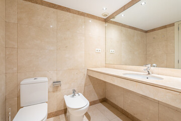 Toilet bidet and long unit with sink and large mirror
