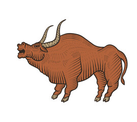 illustration of a bull