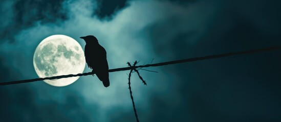 Nighttime with full moon and bird silhouette perched on electric wire.