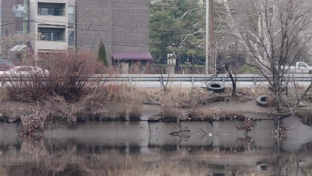 Lyndhurst New Jersey USA December 24: Looking at passing by car from city park, overcast weather city life theme