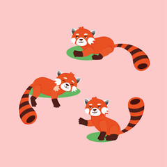 Fototapeta na wymiar cute red panda illustration