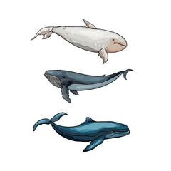 Set of whales and sharks. Isolated illustration of underwater animals. Isolated as a blank for...