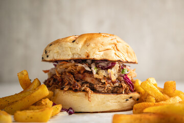 Pulled pork sandwich in BBQ sauce served with French fries.