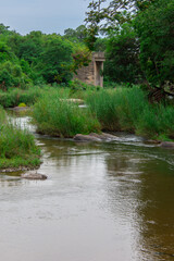 Fototapeta na wymiar Pretty little river flowing through the savannah in South Africa