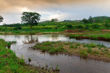 Pretty little river flowing through the savannah in South Africa