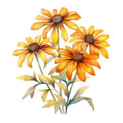 Beautiful Vibrant Yellow Rudbeckia Flower Botanical Watercolor Painting Illustration - obrazy, fototapety, plakaty