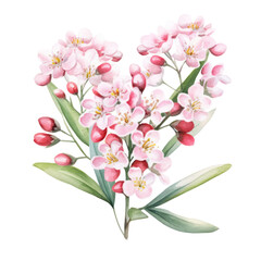Naklejka na ściany i meble Beautiful Pastel Pink Waxflower Flower Botanical Watercolor Painting Illustration