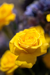 Close-up at yellow rose flower lube which is arranged as flower buch for wedding interior decoration. Selective focus.	