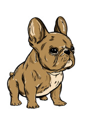 illustration of little cute french bulldog