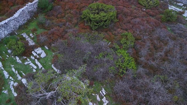 Trap to hunt wolves (Canis lupus), called the Lobera de Barr&oacute;n in the Sierra de Arcamo. Aerial view from a drone. Artaza. Alava. Basque Country. Spain. Europe