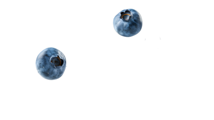 Falling Blueberry isolated on white background, full depth of field