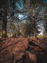 Gran canaria finca de osorio
