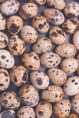 Group of quail eggs as a background. Raw eggs.