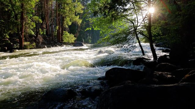 River Rapids in the Merced River as it runs through Yosemite National Park in California. Slow Motion.
