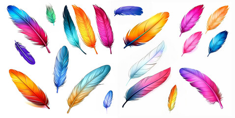 Colorful bird feather watercolor set isolated on white background for decoration, card, invitations - obrazy, fototapety, plakaty