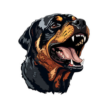Portrait of a smiling Rottweiler dog. Bulldog barks - isolated vector illustration isolated on white background as a logo, icon, print