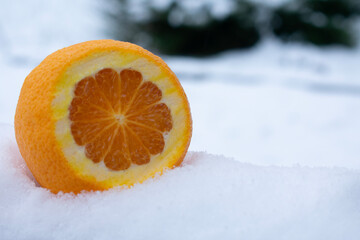 An orange cut in the snow