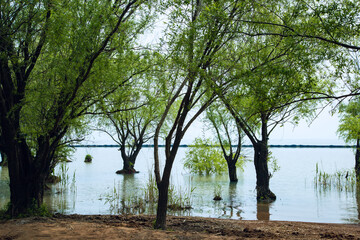 Hefei City, Anhui Province-Luxi Wetland-Wetland scenery against the blue sky