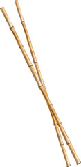 Bamboo tree leaf, plant stem and stick. Bamboo green and brown decoration elements in realistic style. transparent, png