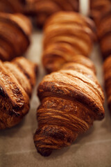 delicious breakfast, dessert or snack. Close up photo of tray of freshly baked pastries, flavorful, warm, crispy croissants. Concept of food and taste, bakery recipes, cuisine, cooking.
