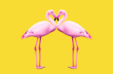 Pink Flamingos in a Synchronized Dance on Yellow