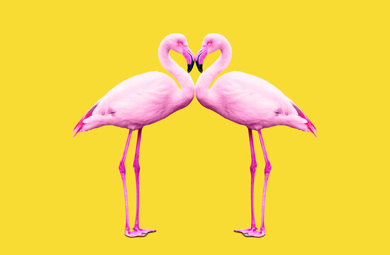 Pink Flamingos in a Synchronized Dance on Yellow © Katie Chizhevskaya
