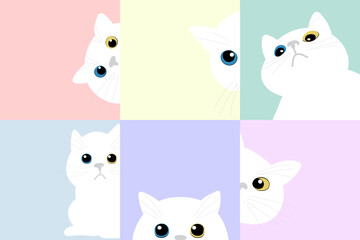 Cat peeking out of corner set vector. Collection funny Cats Hiding. Cat hide and seek.