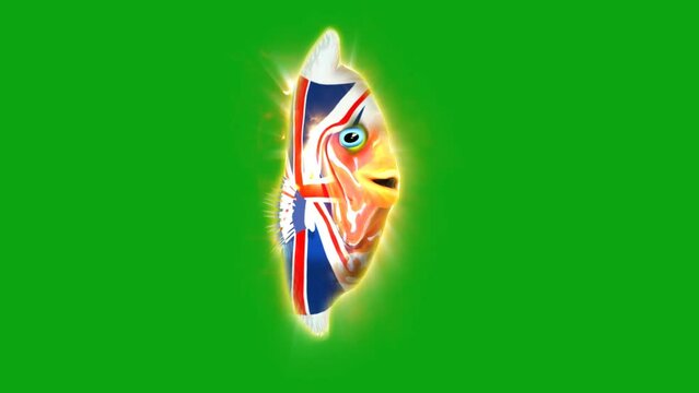 fish in the colors of the English flag on a green background