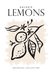 Aesthetic modern art, boho decor, minimalist art, Illustration, Vector, Poster, postcard. The botanical collection. A poster with lemons. A set of abstract fashionable creative art.
