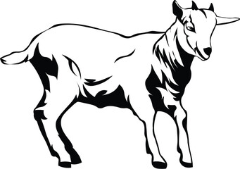 Cartoon Black and White Isolated Illustration Vector Of A Horned Billy Goat Standing Up