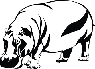 Cartoon Black and White Isolated Illustration Vector Of A Hippo Grazing