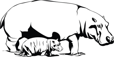 Cartoon Black and White Isolated Illustration Vector Of A Baby Hippo Standing Next to Its Mother